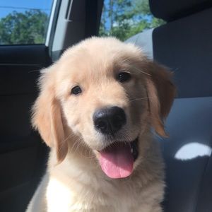 Meet your Posher, Caitlin